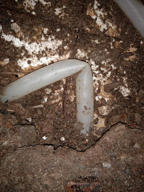 壤塘堵点精准查找